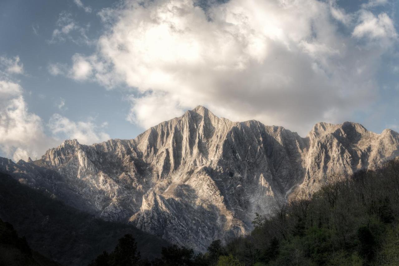 Il Sole Antico Viareggio Exterior foto